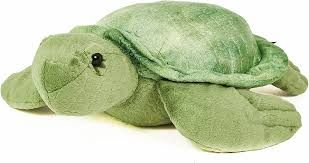 Lil&#39; Shelton the Sea Turtle