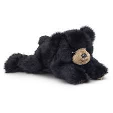 Baby Rocky the Black Bear