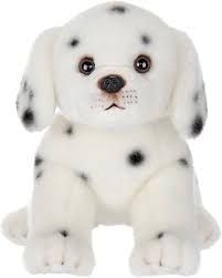 Diggs the Dalmation