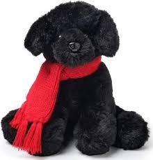 Cole the Black Dog