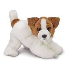 Jack the Jack Russell