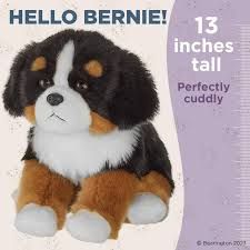 Bernie the Mountain Dog