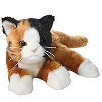Callie the Calico Cat