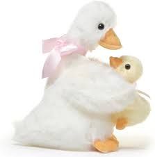 Downy &amp; Duckie the Ducks