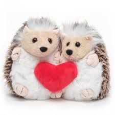 Lovie &amp; dovey the Hedgehogs