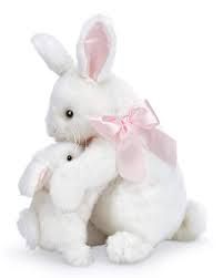 Some Bunny Loves You