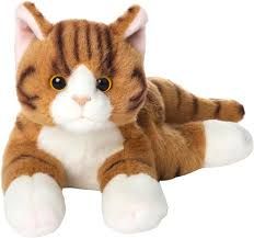 Lil&#39; Tabby the Orange Cat