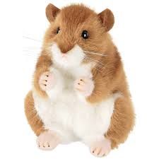 Cheeks the Hamster