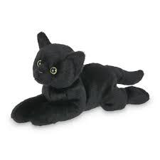 Lil&#39; Jinx the Black Cat
