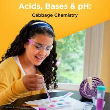 Acids, bases &amp; Ph Cabbage Chemistry