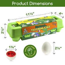 Dinosaur Matching Eggs