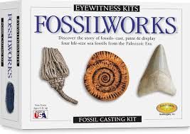 Eyewitness Kits - Fossilworks