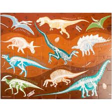 EDUCATIONAL PUZZLE  W/CANISTER DINOSAUR FOSSIL (F2