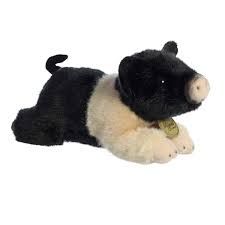 8&quot; HAMPSHIRE PIG MIYONI : NO MORE AFTER BULK STOCK