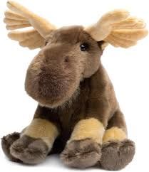 Martin the Moose