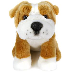 Egan the English Bulldog