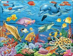 Springbok Coral Reef 35 Piece Children&#39;s Educational Jigsaw Puzzle