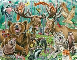 Springbok Happy Forest 42 Piece Children&#39;s Educational Jigsaw Puzzle