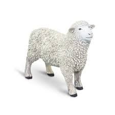 Safari Sheep