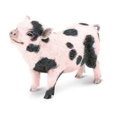 Safari Pot-Bellied Pig