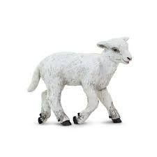 Safari Lamb