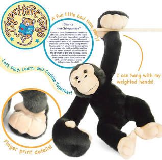 Chance the Chimpanzee