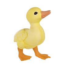 Safari Duckling
