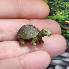 Safari Micro Miniature Tortoise Box