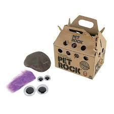 Pet Rock