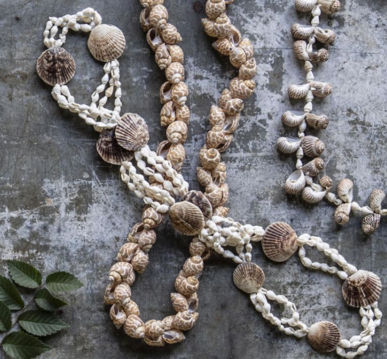 Vero Shell Strand