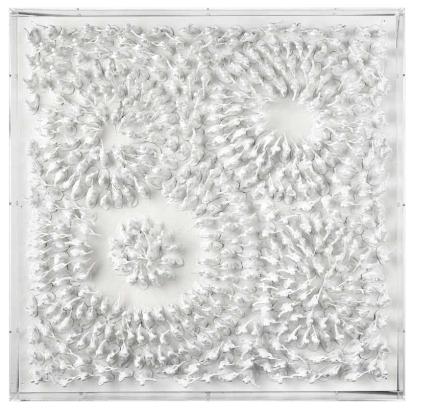 Viewpoint Dim Wall Art 24x24