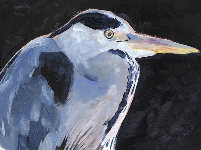 Great Heron I-40x30
