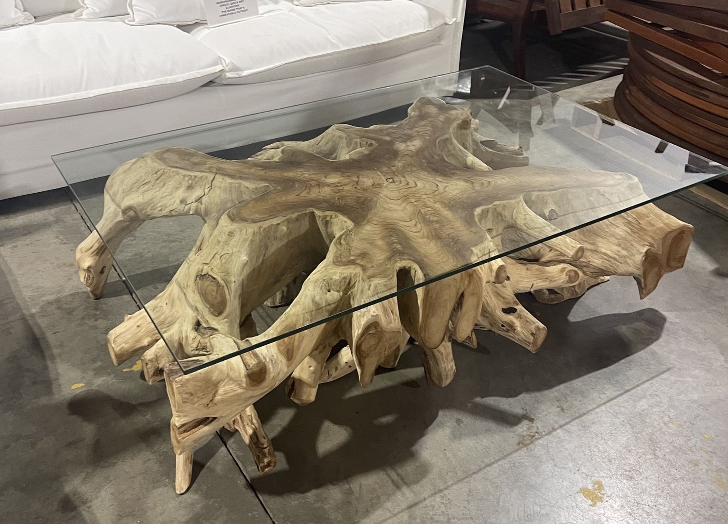 Teak Root Coffee Table w/ Glass-Bleached-55 x 35  x  16.5&quot;H