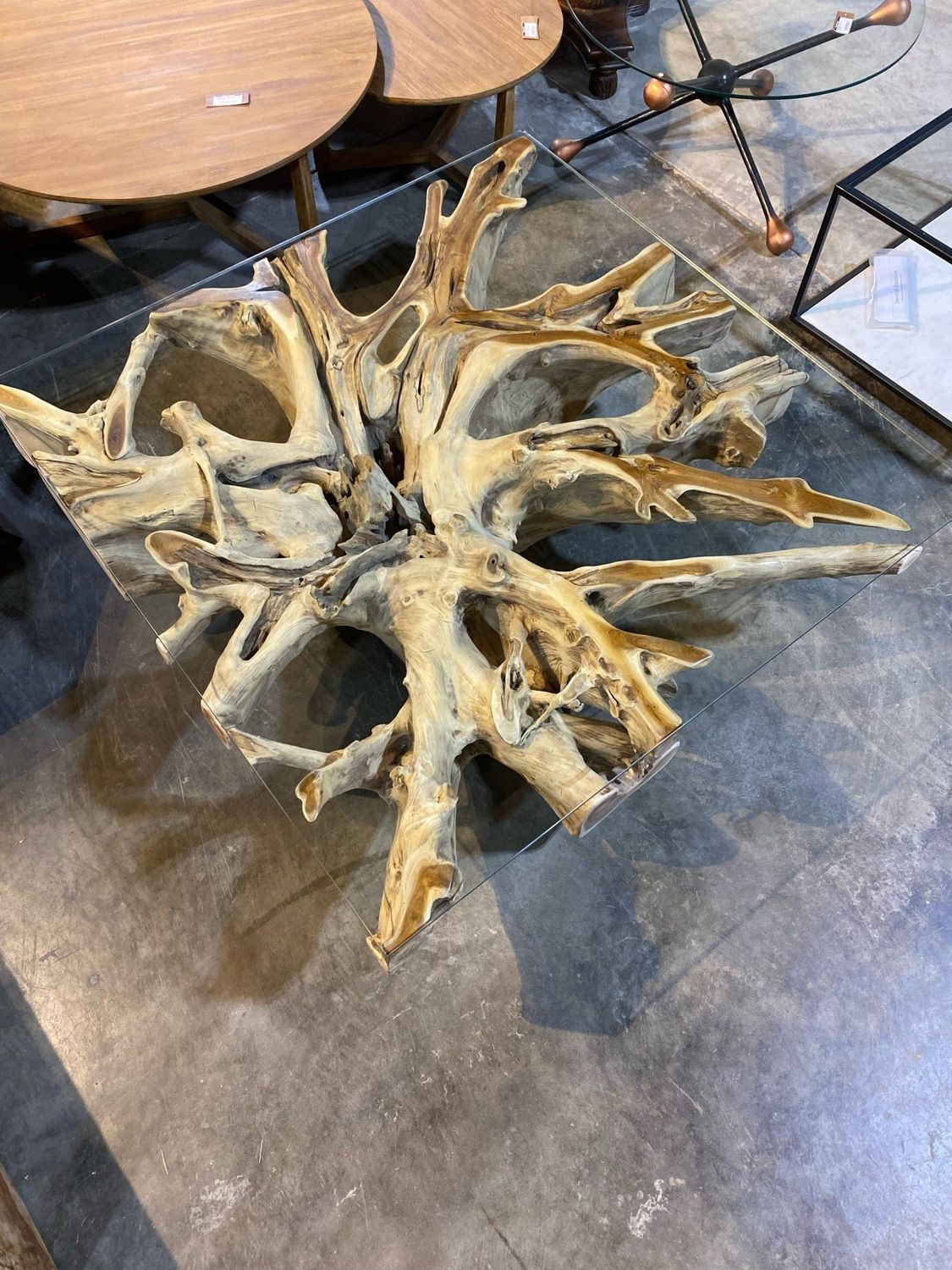 Teak Root square coffee table with glass 48&quot; x 48&quot;
