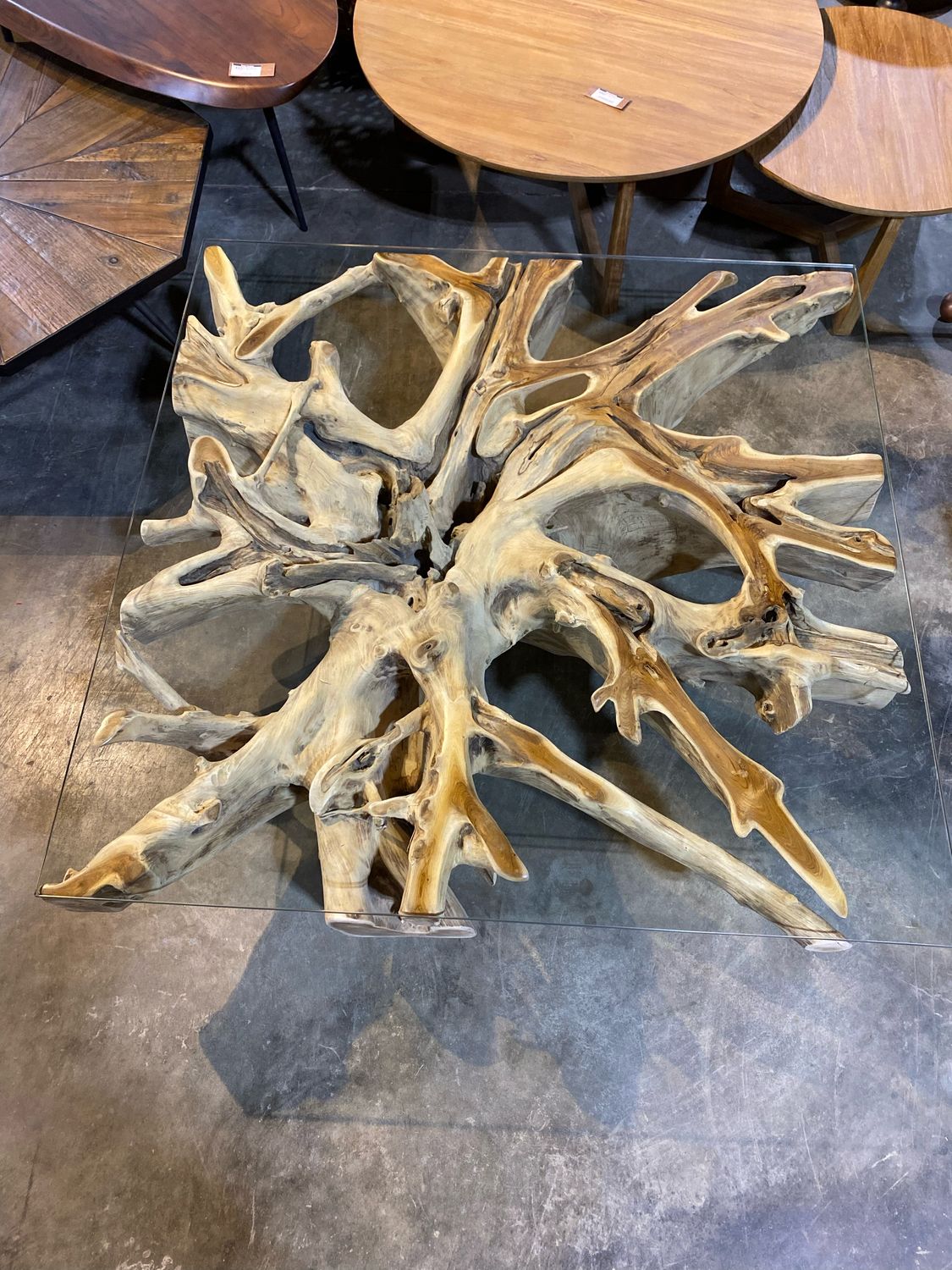 Teak Root square coffee table with glass 48&quot; x 48&quot;