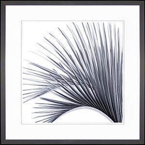 Grey Palms III-35x35
