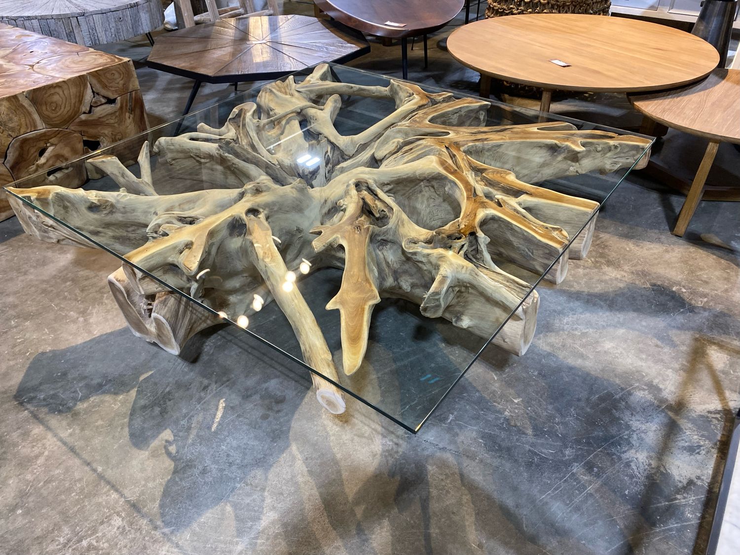 Teak Root square coffee table with glass 48&quot; x 48&quot;