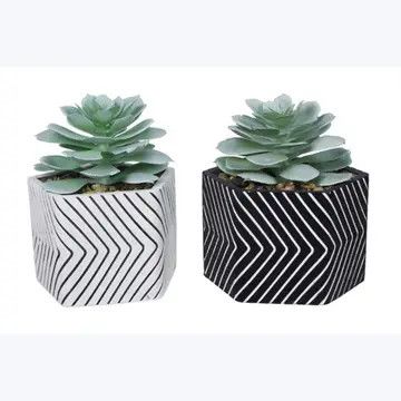 Black &amp; White Cement Planter with Greenery, Set of 2