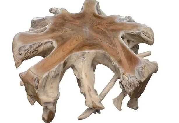 Teak Root Coffee Table - 41x38x18