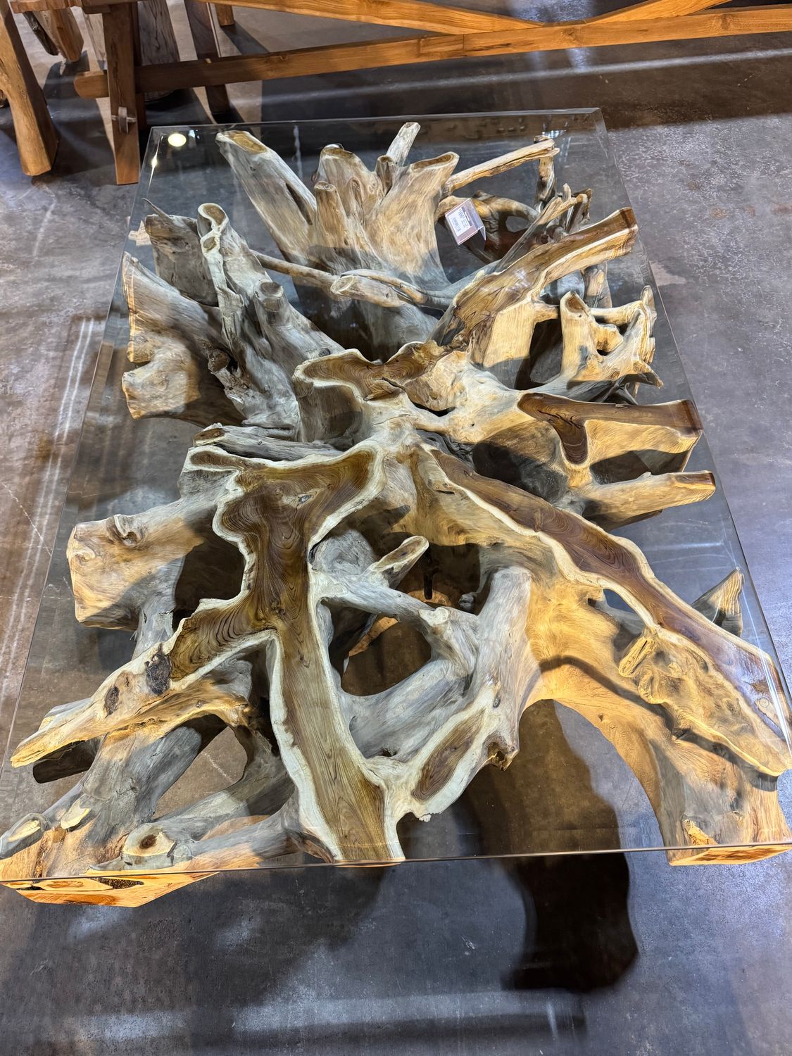 Teak Root Coffee Table w/ Glass-Bleached-55 x 35  x  16.5&quot;H