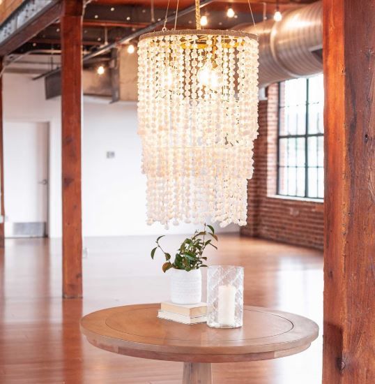 Marin Shell Chandelier-20x20x29.5
