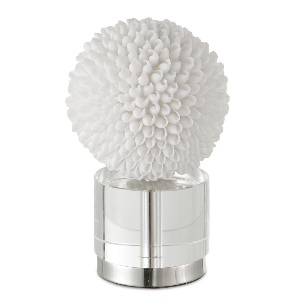 Shell Sculpture 6 W X 10 H X 6 D (in)