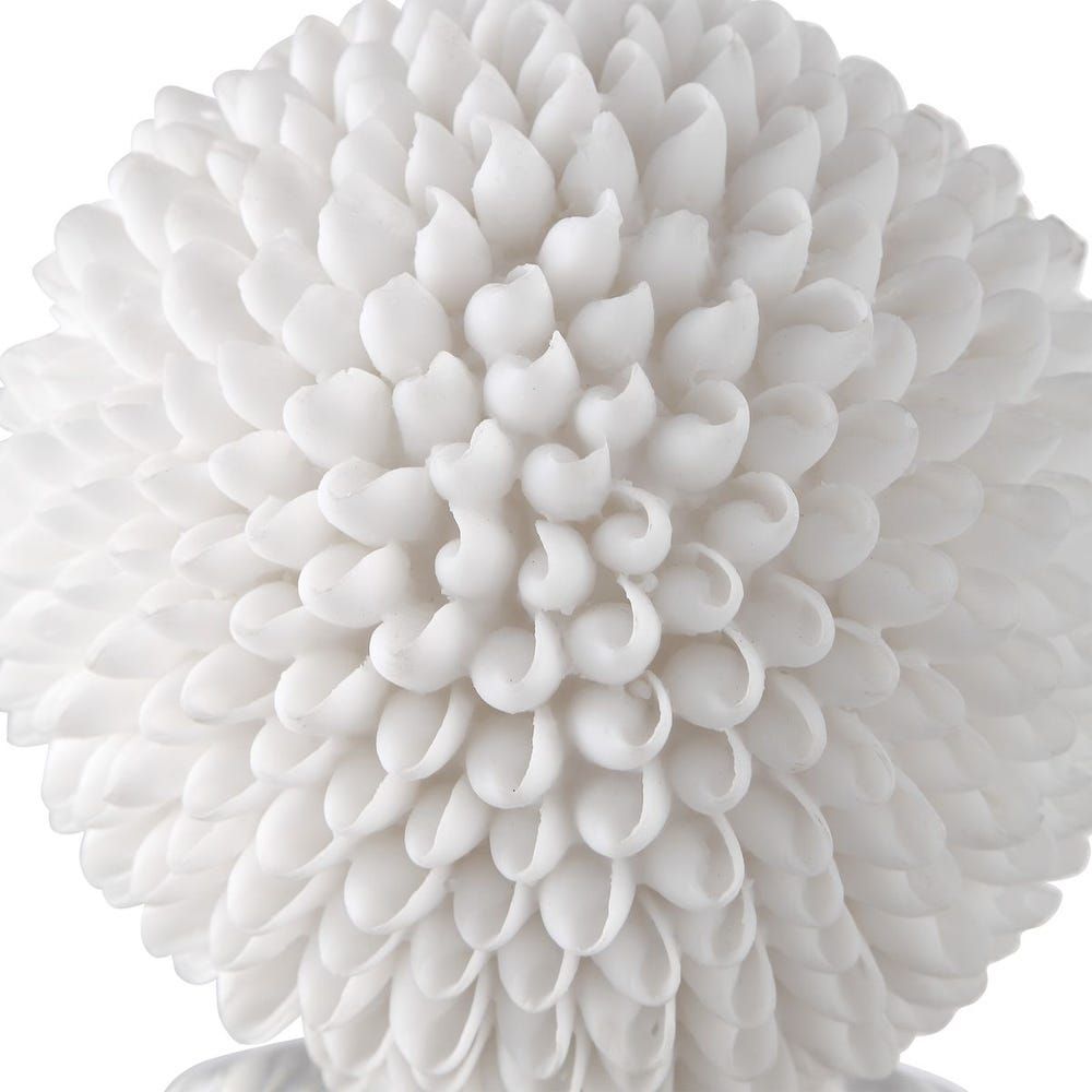 Shell Sculpture 6 W X 10 H X 6 D (in)