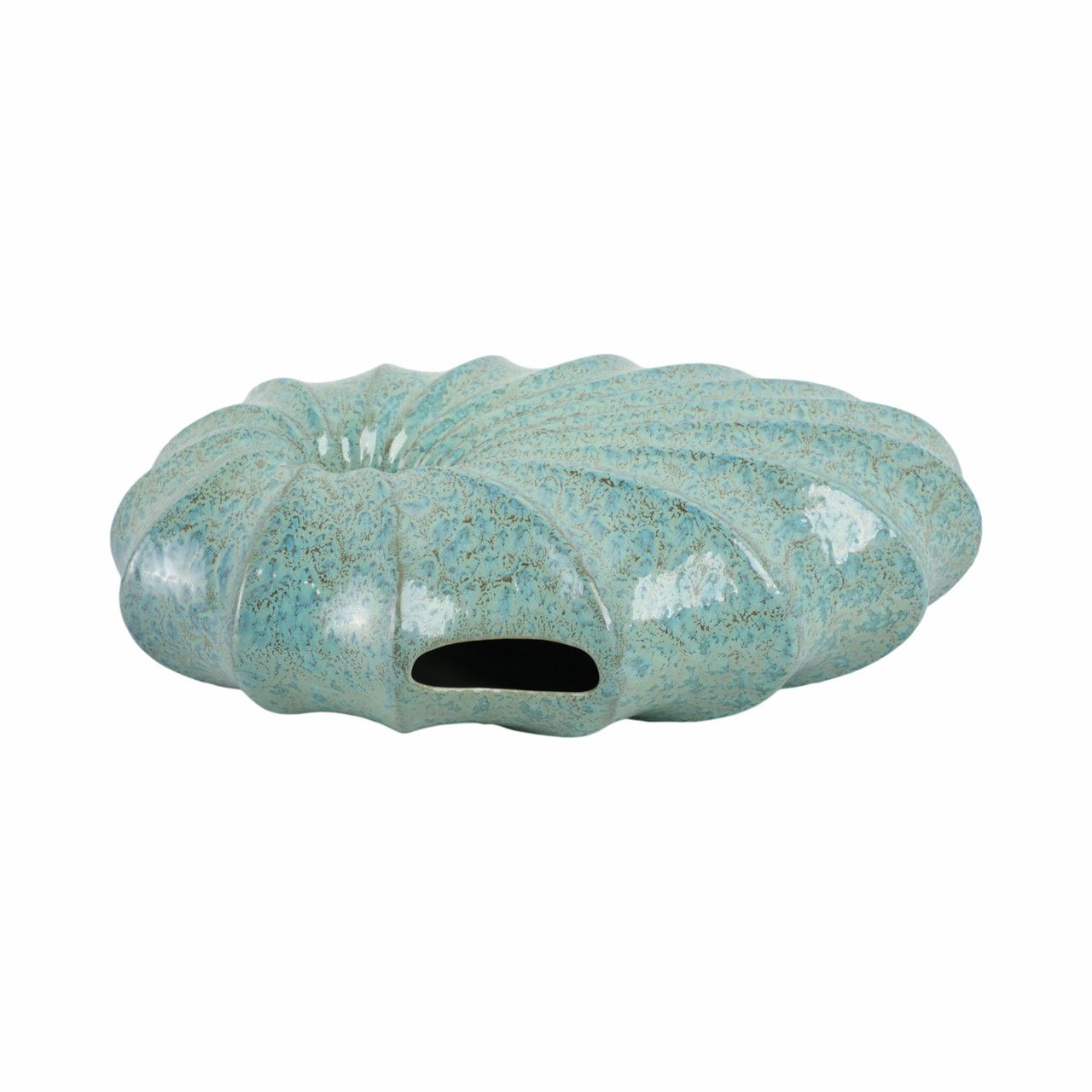 SHELL PORTUGAL VASE 15 x 5 x 11