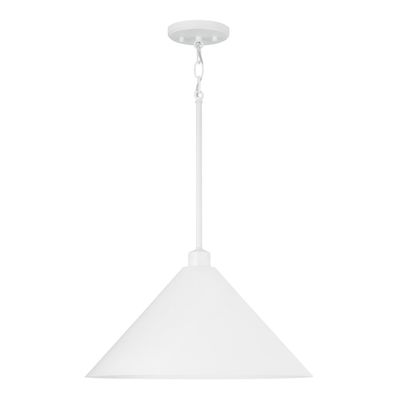 ALDEN 1-LIGHT PENDANT