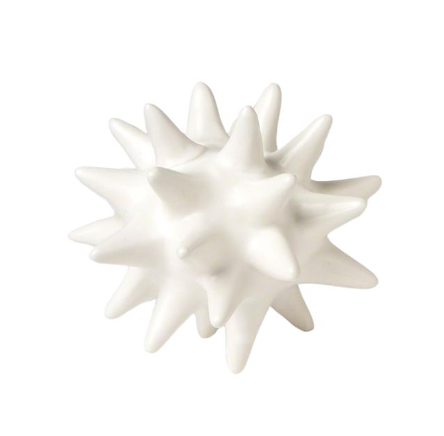 URCHIN SMALL (MATTE WHITE)