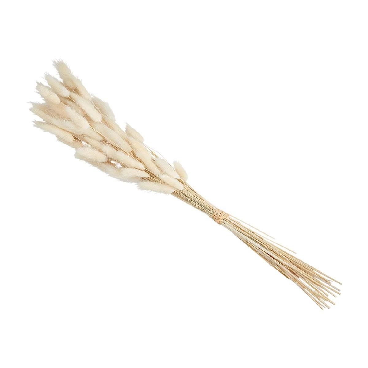 LARGUS GRASS BUNDLE