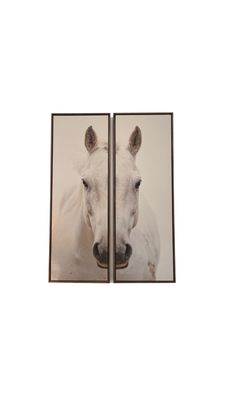 WHITE BEAUTY ART (SET OF 2)
