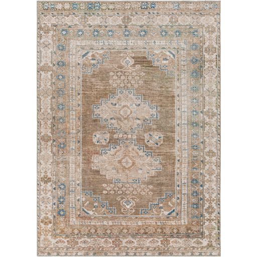 COLIN 2303 RUG, Size: (5&#39;3&quot; x 7&#39;3&quot;)