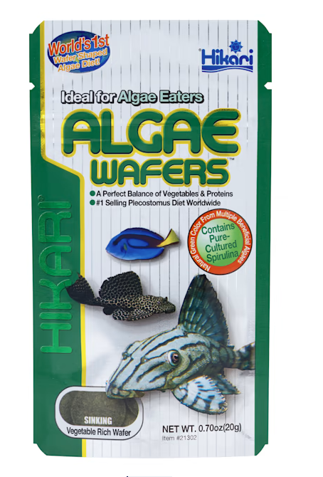 HIKARI TROPICAL ALGAE WAFER .70Z
